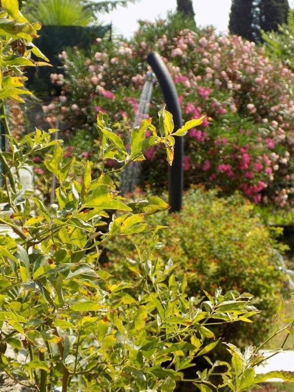 Bed and Breakfast Due Archi SantʼAmbrogio di Valpolicella Exterior foto